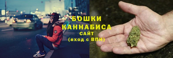 сатива Пролетарск